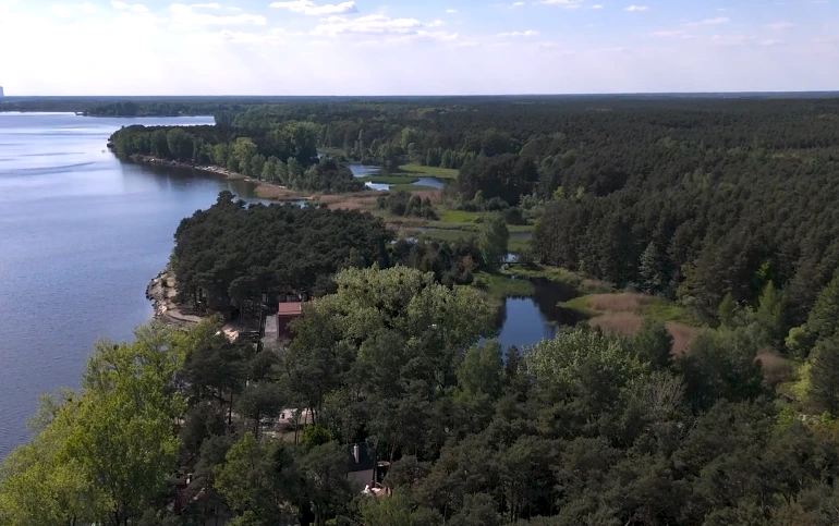 Brzeg jeziora